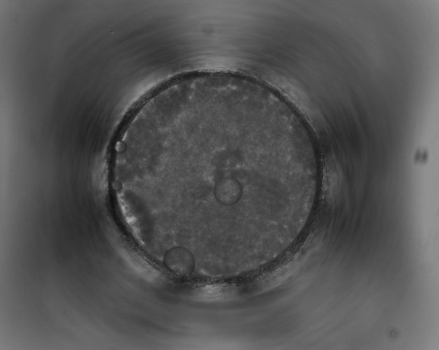 X0000100310584200807031148