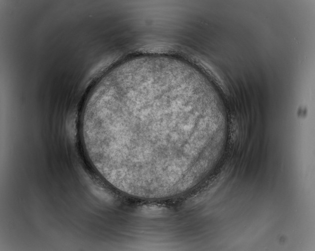 X0000100310586200807031148