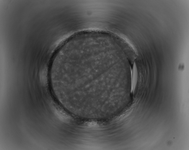 X0000100310588200807031148
