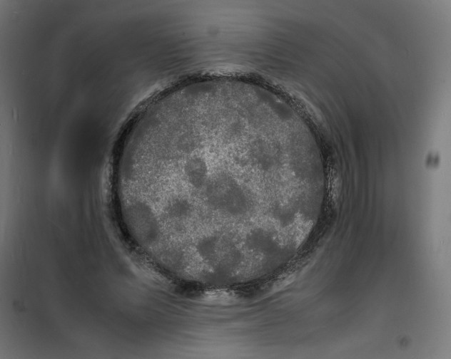 X0000100310591200807031148
