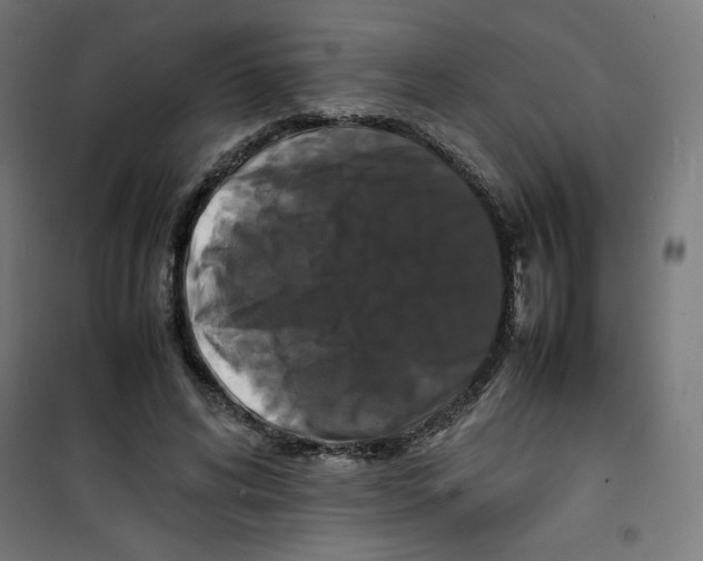 X0000100310592200807031148