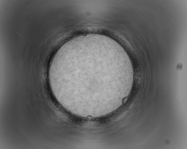 X0000100310593200807031148