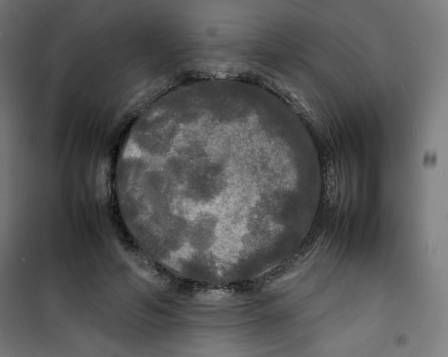 X0000100310594200807031148