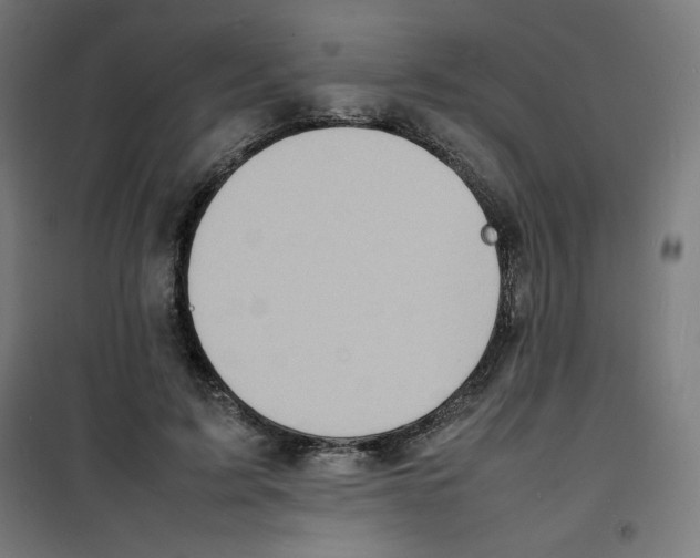 X0000100310595200807031148