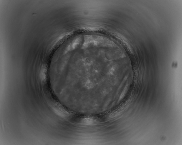 X0000100310596200807031148
