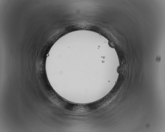 X0000100310597200807031148