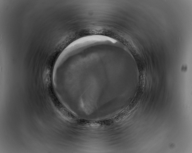 X0000100310598200807031148