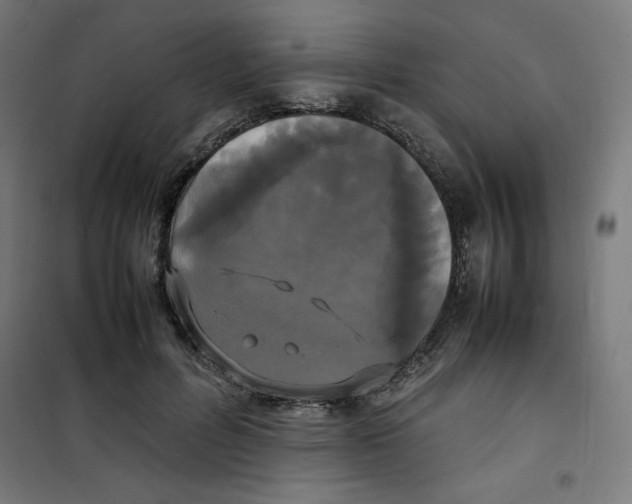 X0000100310600200807031148