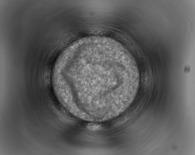 X0000100310602200807031148
