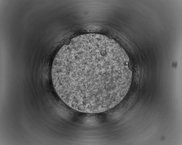 X0000100310604200807031148