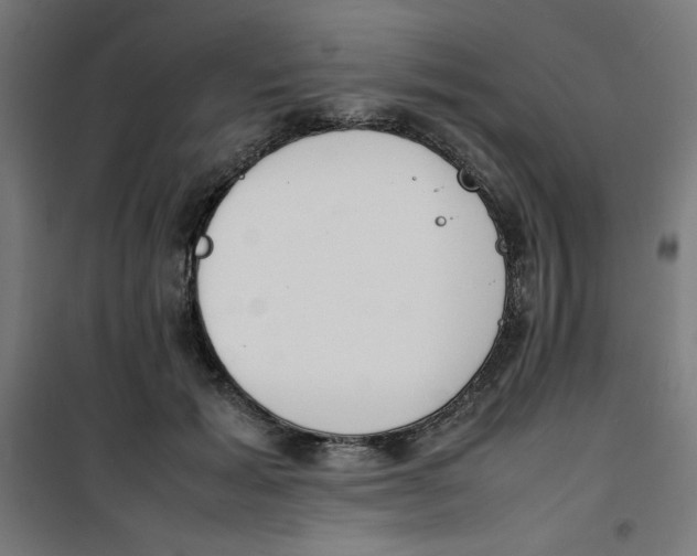X0000100310605200807031148