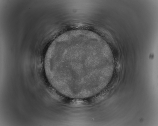 X0000100310607200807031148