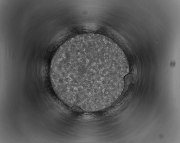X0000100310608200807031148