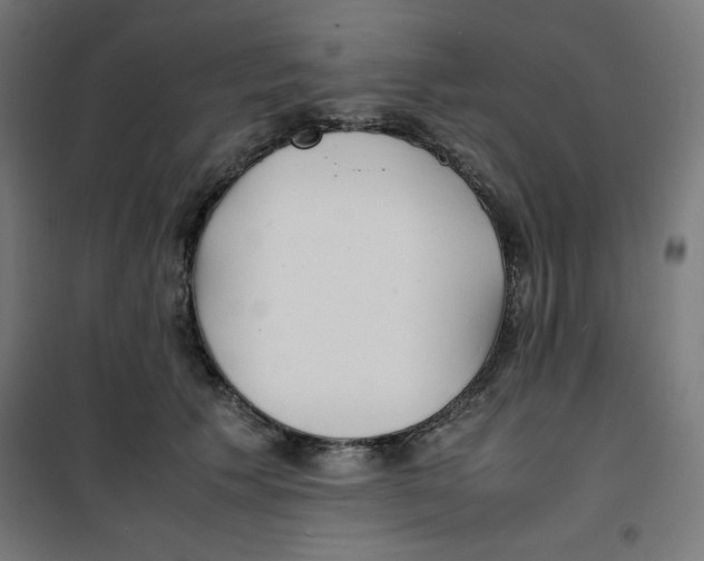 X0000100310609200807031148