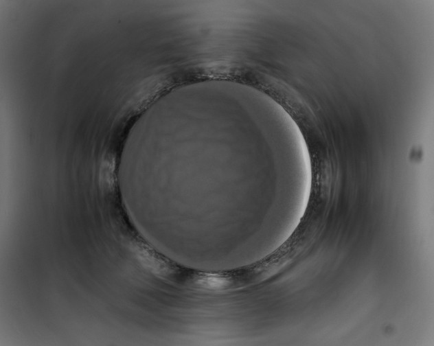 X0000100310610200807031148