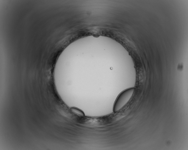 X0000100310611200807031148