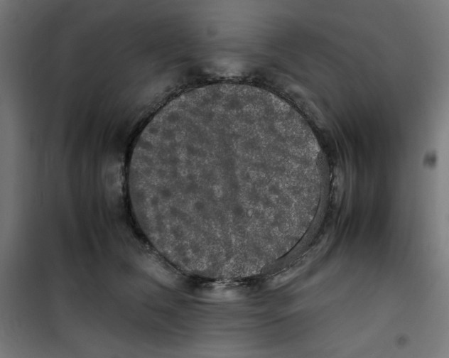X0000100310612200807031148