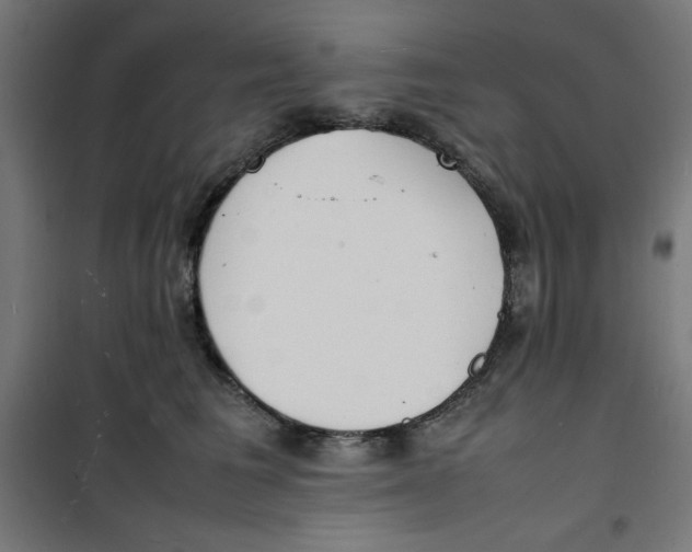 X0000100310613200807031148
