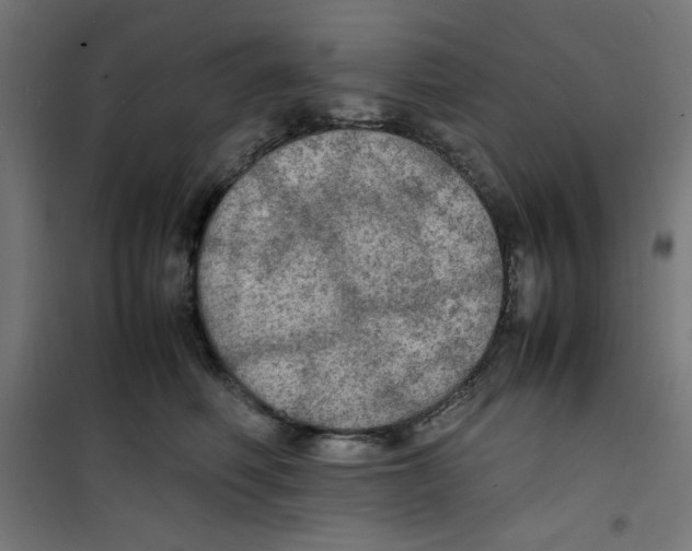 X0000100310614200807031148