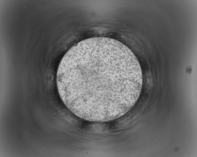 X0000100310615200807031148