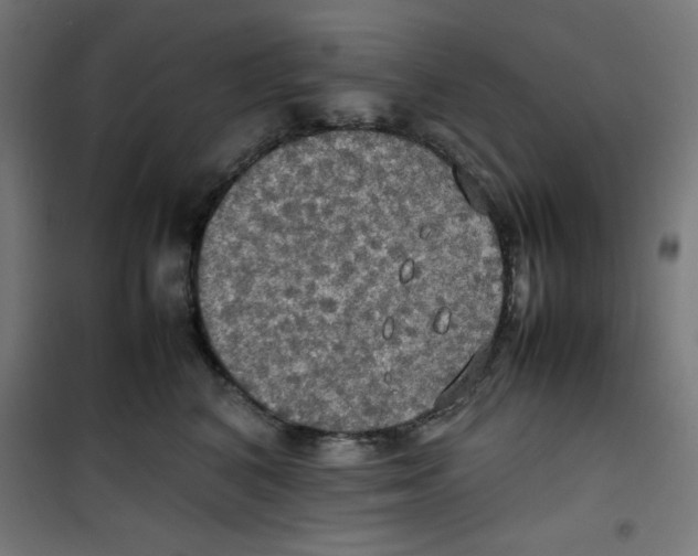 X0000100310616200807031148