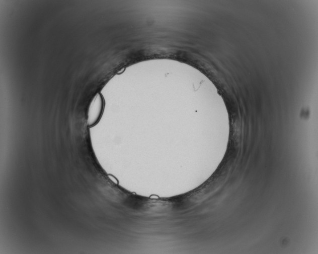 X0000100310617200807031148
