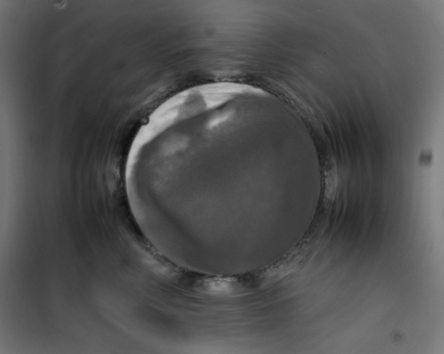 X0000100310618200807031148