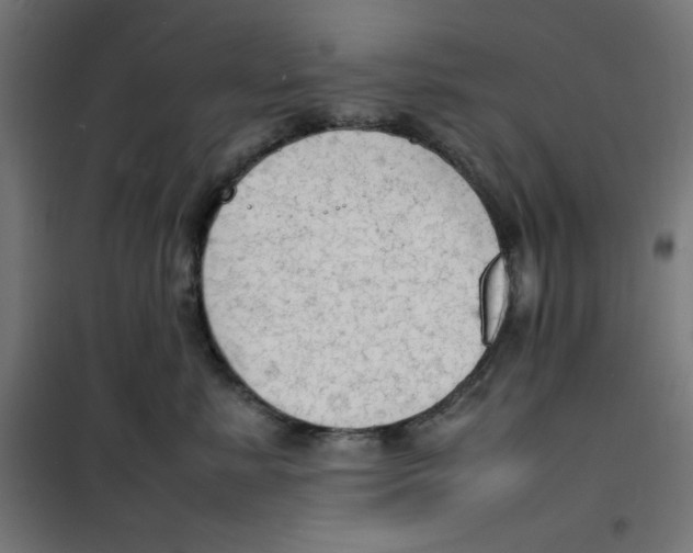 X0000100310619200807031148