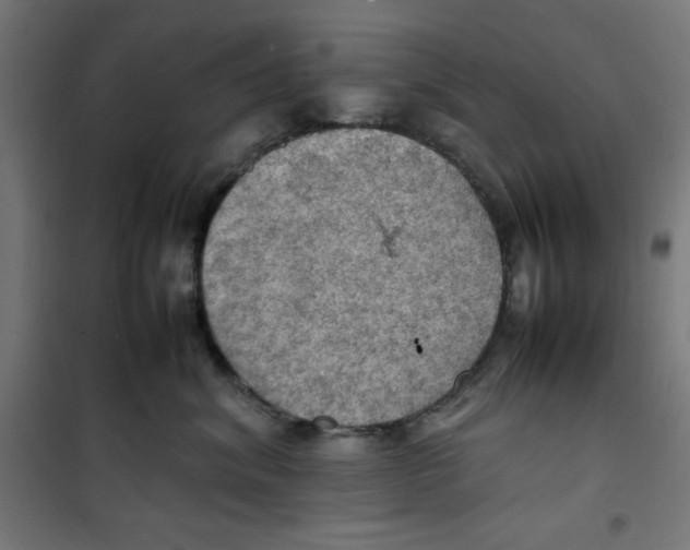X0000100310620200807031148