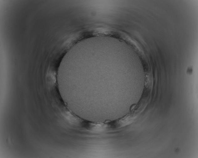 X0000100310621200807031148