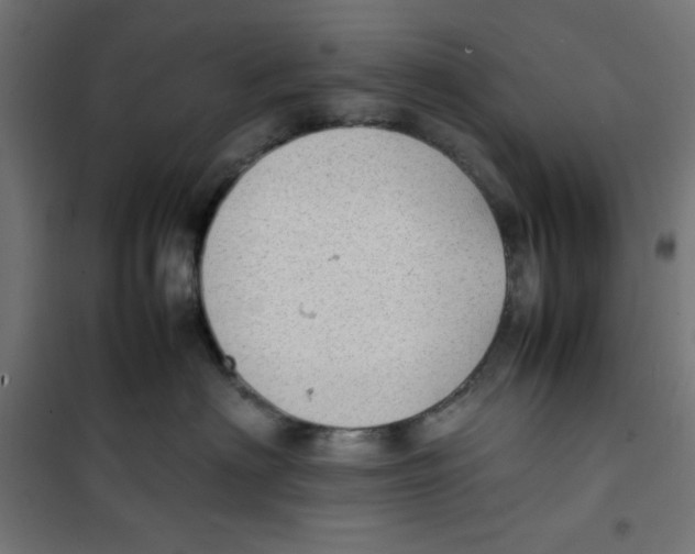 X0000100310622200807031148