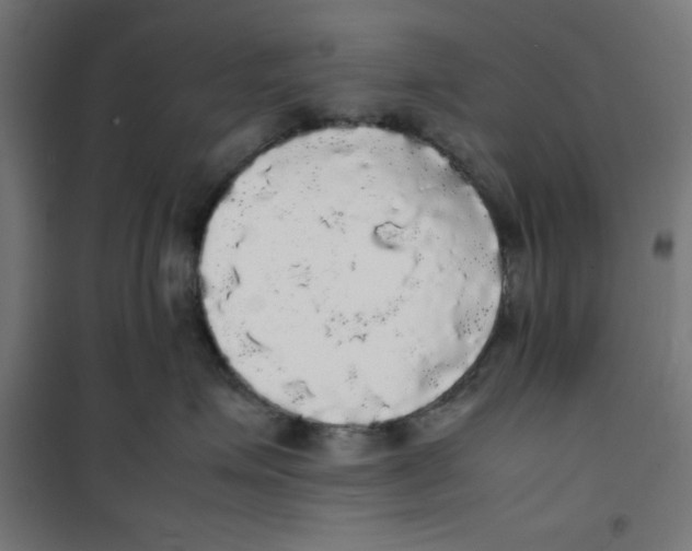 X0000100310623200807031148