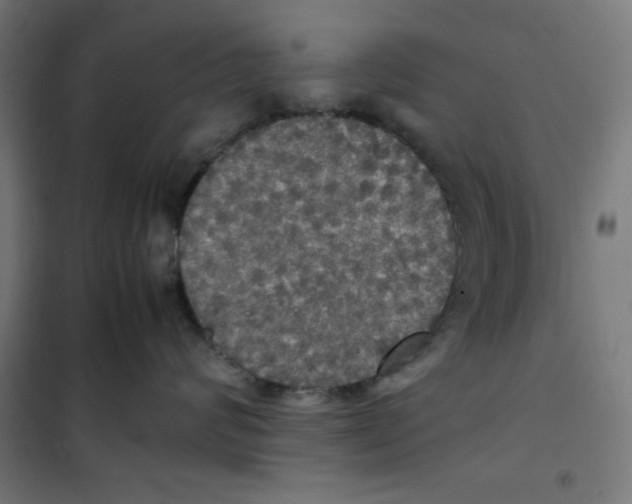 X0000100310624200807031148