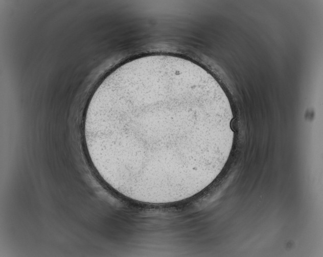 X0000100310625200807031147