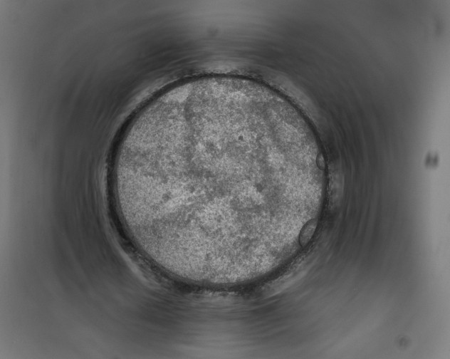 X0000100310626200807031147