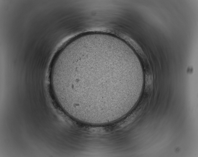 X0000100310628200807031147
