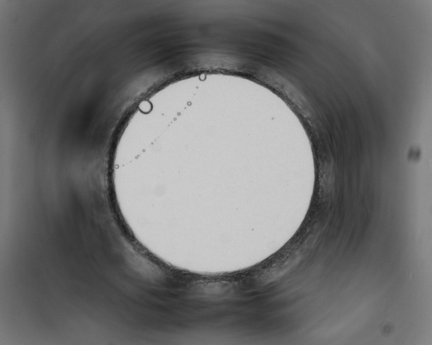 X0000100310629200807031147