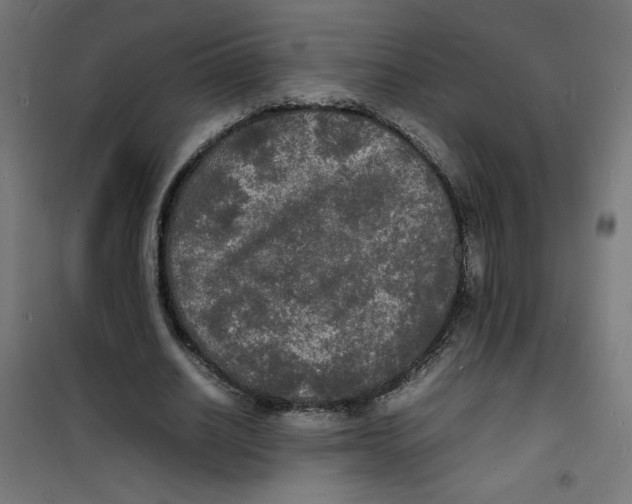 X0000100310630200807031147