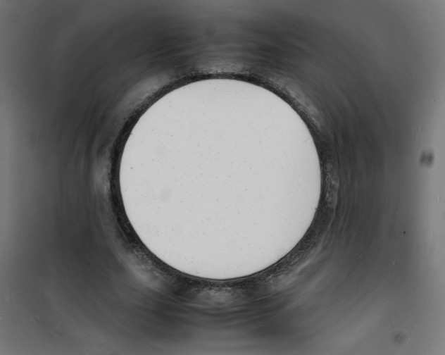 X0000100310631200807031147