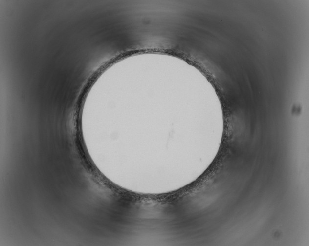 X0000100310632200807031147