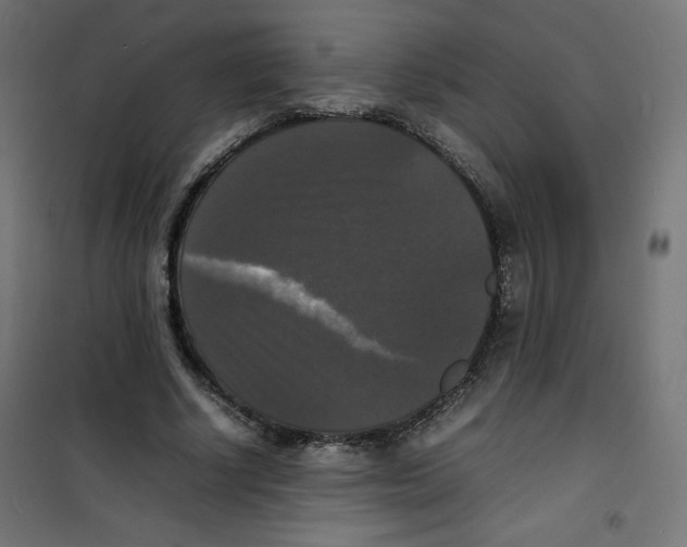 X0000100310634200807031147