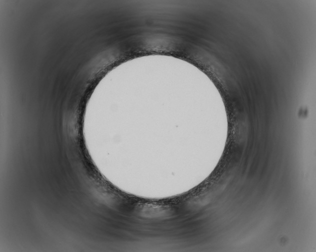 X0000100310635200807031147