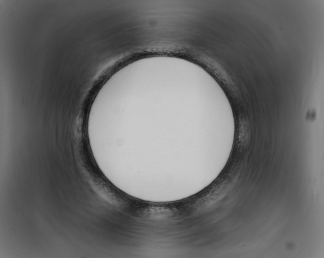 X0000100310636200807031147
