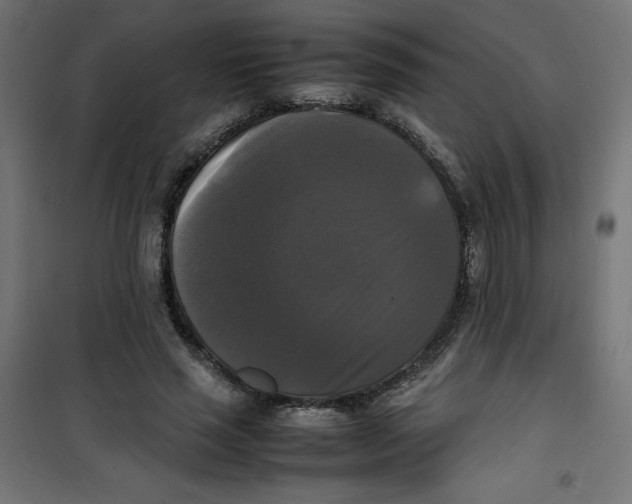 X0000100310637200807031147