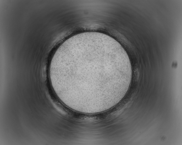 X0000100310638200807031147