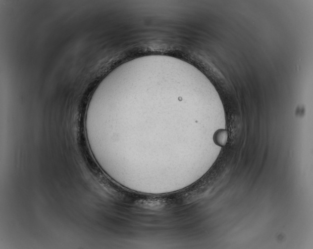 X0000100310639200807031147