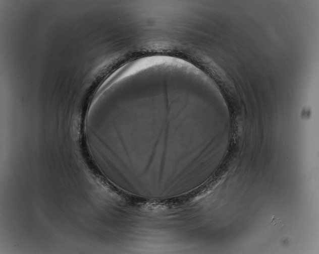 X0000100310640200807031147