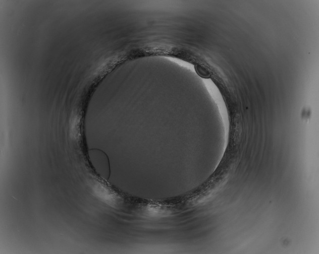 X0000100310641200807031147