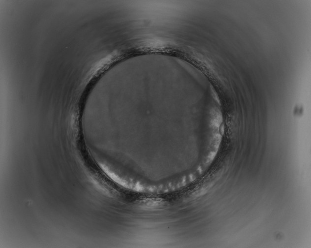 X0000100310642200807031147