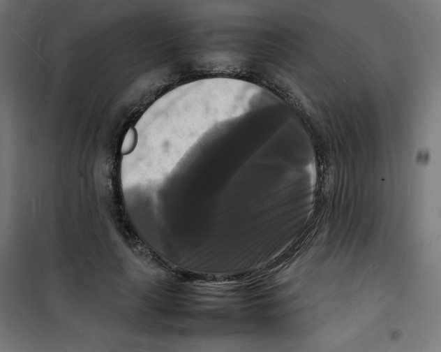 X0000100310643200807031147